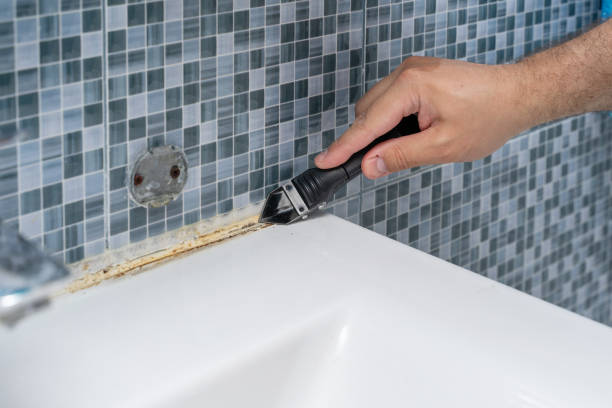 Best Localized Mold Remediation (e.g., coastal areas, humid climates) in Gonzales, TX