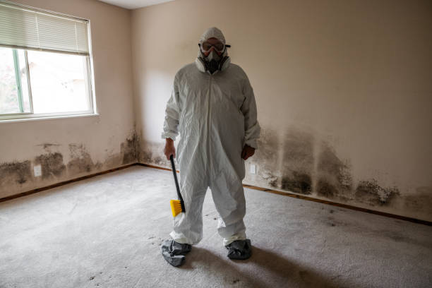 Best Industrial Mold Remediation in Gonzales, TX
